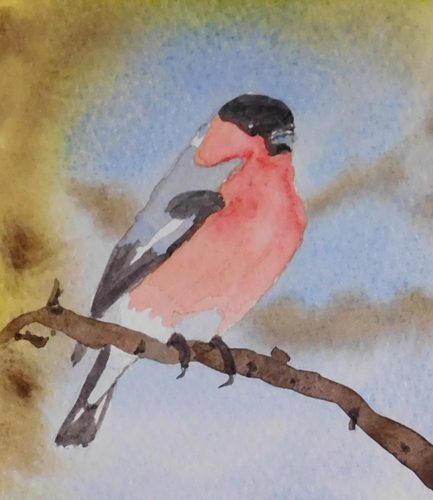 Christine C. Bullfinch, watercolour greeting card.